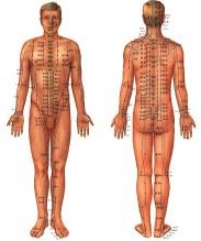 acupuncture on human body